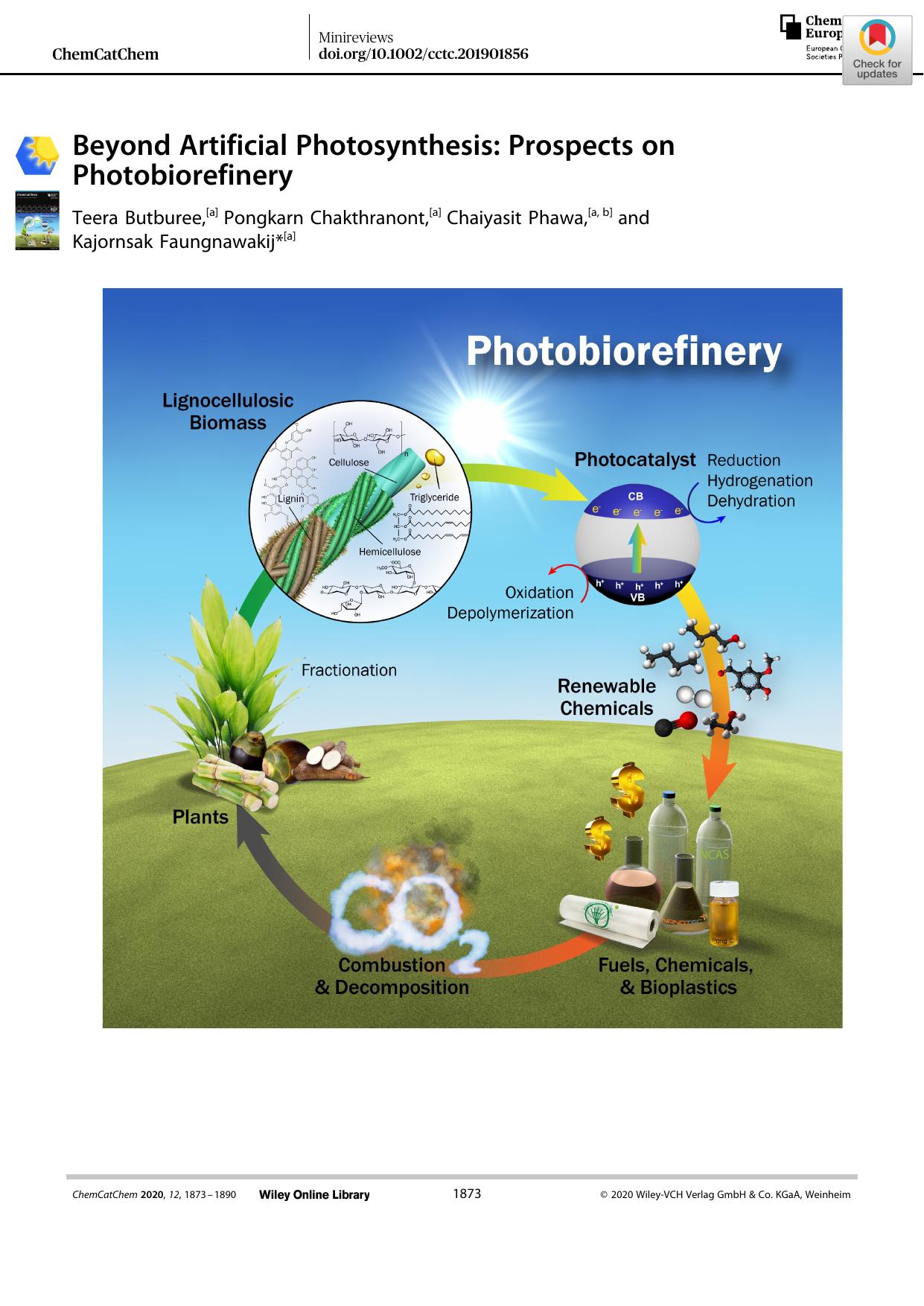 Beyond Artificial Photosynthesis: Prospects on Photobiorefinery by Unknown