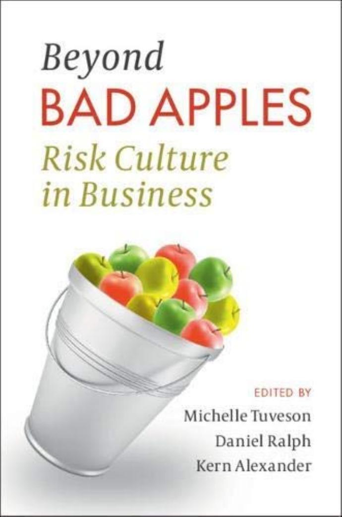 Beyond Bad Apples: Risk Culture in Business by Unknow