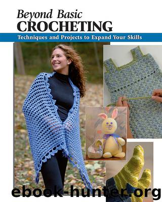 Beyond Basic Crocheting: Techniques and Projects to Expand Your Skills by Author Silverman Sharon Hernes Author Modesitt Annie Author Omdahl Kristin Photographer Wycheck Alan Illustrator Bienkowski David