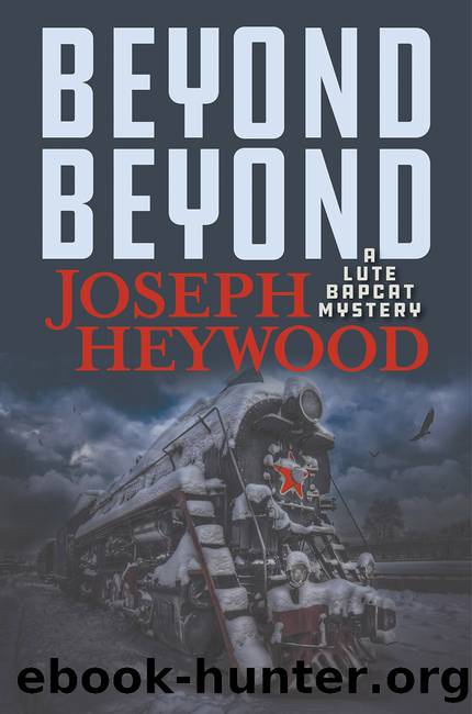 Beyond Beyond by Joseph Heywood