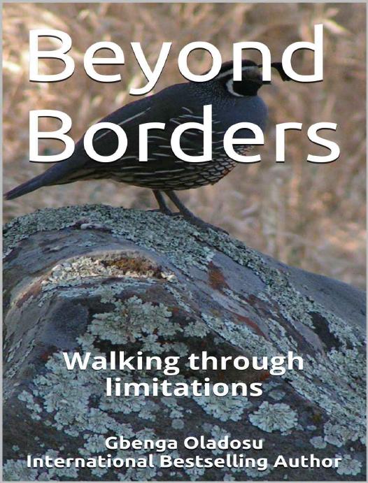 Beyond Borders: Walking through limitations by Gbenga OladosuInternational Bestselling Author