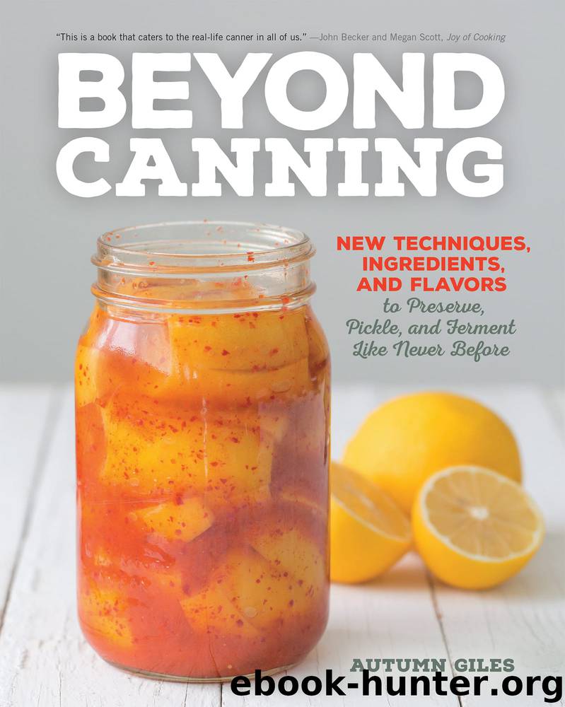 Beyond Canning by Autumn Giles
