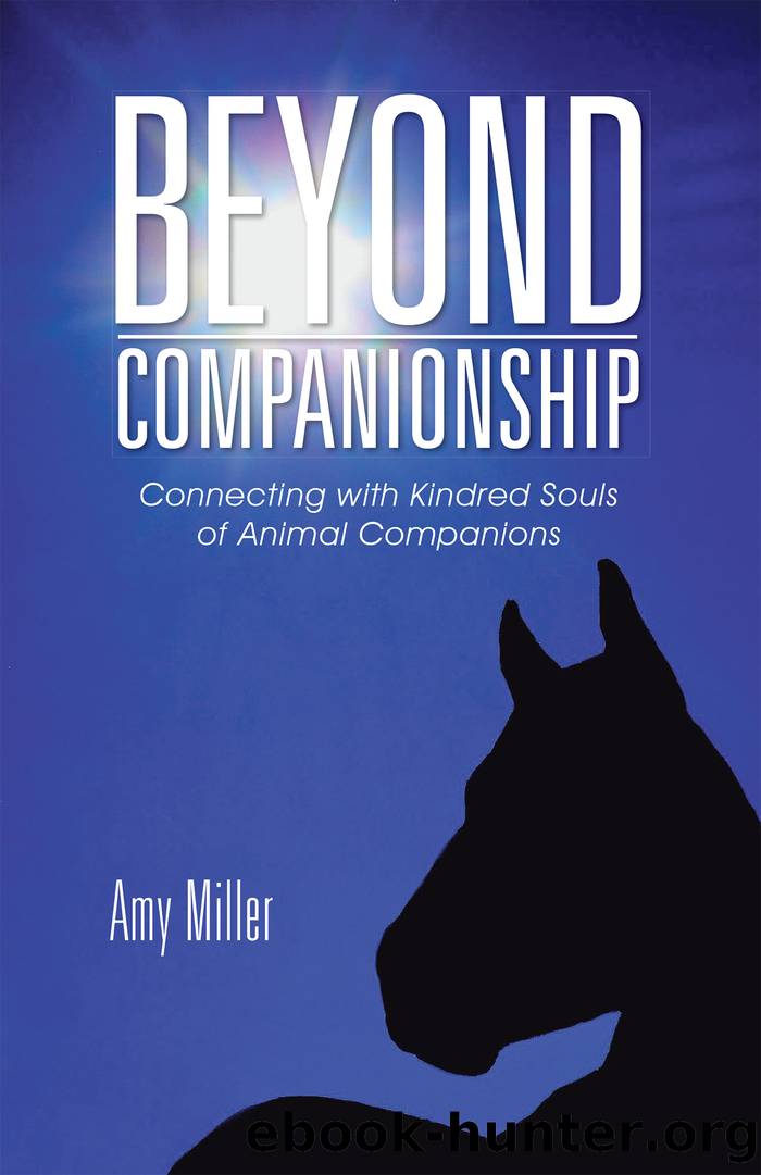 Beyond Companionship by Amy Miller