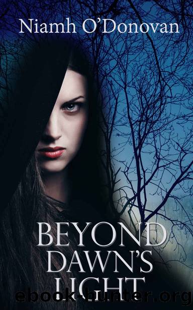 Beyond Dawn's Light (Beyond the Night Book 2) by Niamh O'Donovan