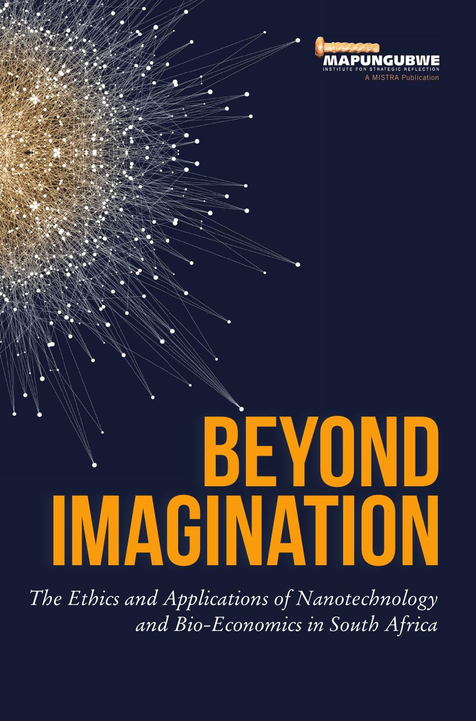 Beyond Imagination : The Ethics and Applications of Nanotechnology and Bio-Economics in South Africa by Zamanzima Mazibuko