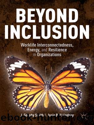 Beyond Inclusion by J. Goosby Smith & Josie Bell Lindsay