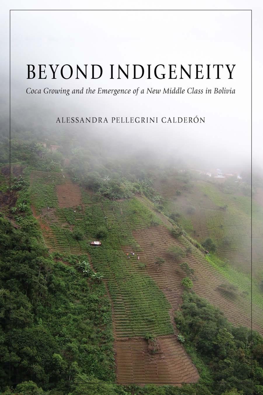 Beyond Indigeneity: Coca Growing and the Emergence of a New Middle Class in Bolivia by Alessandra Pellegrini Calderón