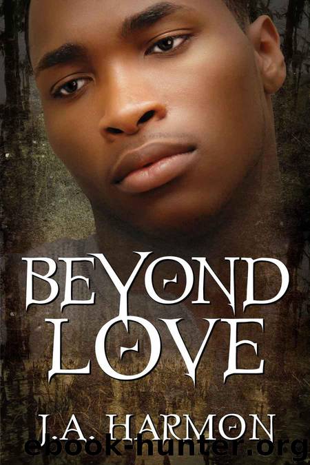 Beyond Love by Harmon J.A