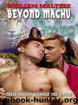 Beyond Machu by William Maltese