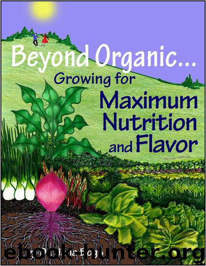 Beyond Organic... Growing for Maximum Nutrition by Bogs Dr. Jana