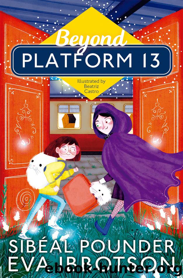Beyond Platform 13 by Sibéal Pounder