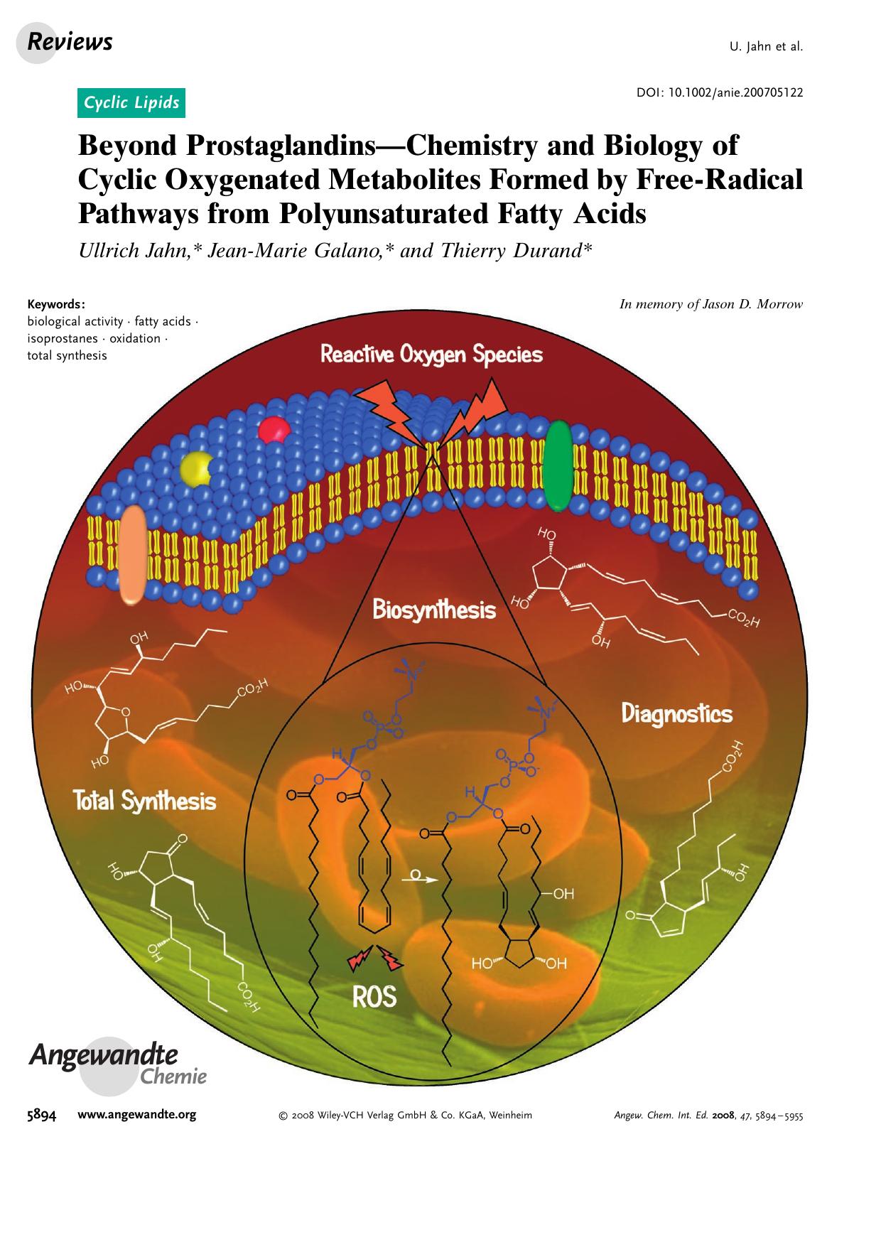 Beyond Prostaglandins-Chemistry and Biology of Cyclic Oxygenated Metabolites Formed by Free-Radical Pathways from Polyunsaturated Fatty Acids by Unknown