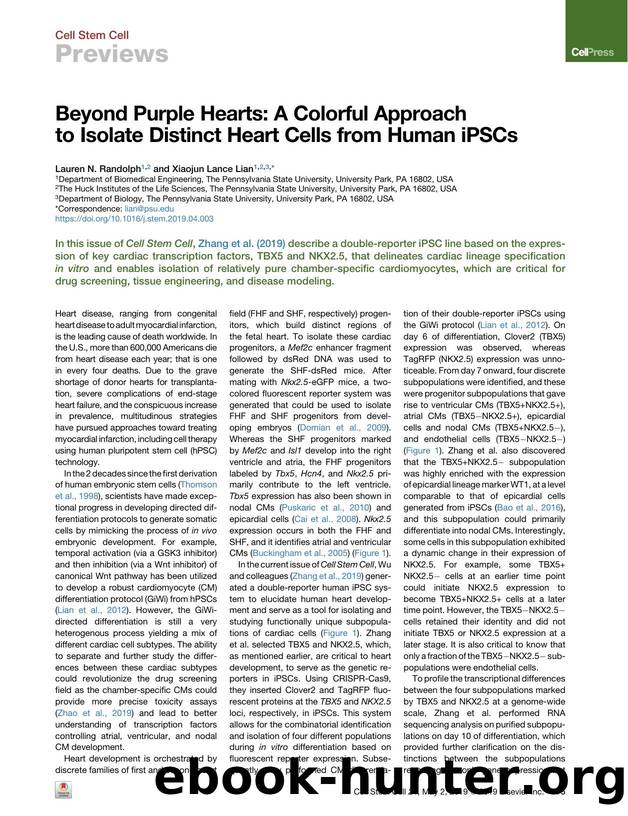 Beyond Purple Hearts: A Colorful Approach to Isolate Distinct Heart Cells from Human iPSCs by Lauren N. Randolph & Xiaojun Lance Lian
