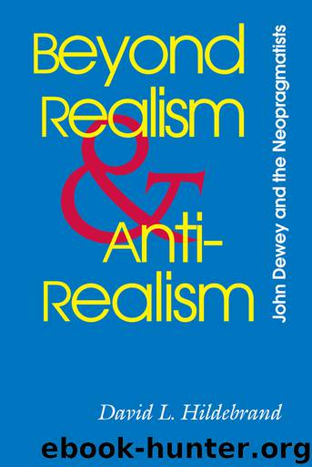 Beyond Realism and Antirealism by David L. Hildebrand