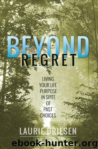 Beyond Regret by Driesen Laurie