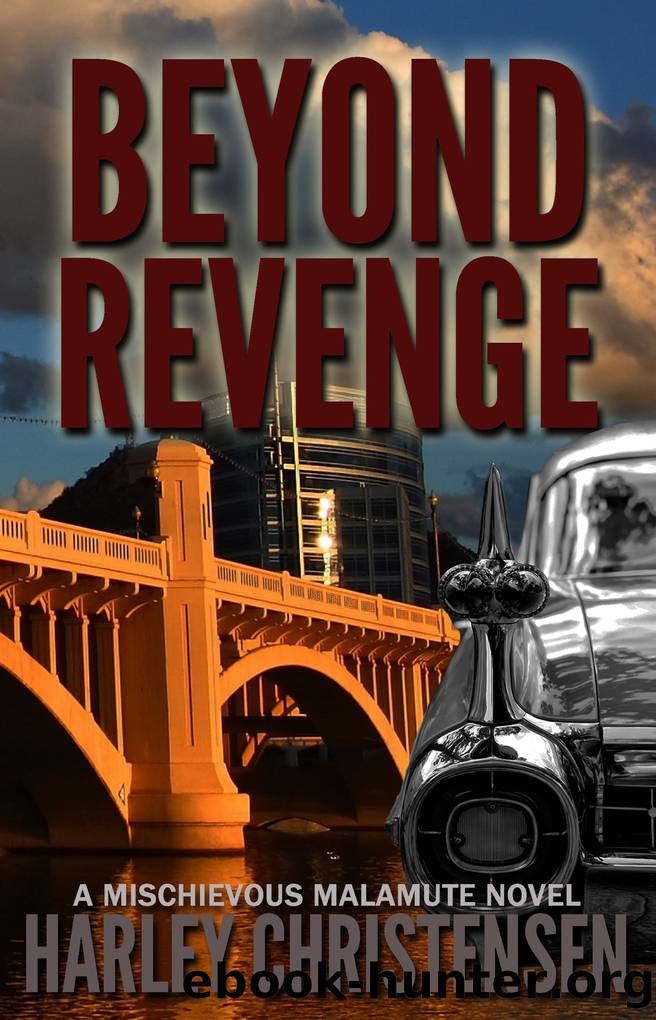 Beyond Revenge by Harley Christensen
