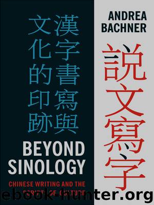 Beyond Sinology by Andrea Bachner
