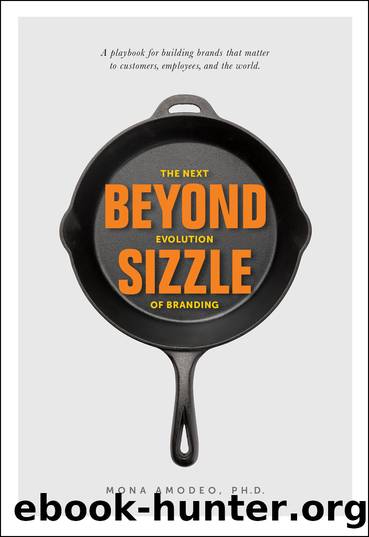 Beyond Sizzle by Mona Amodeo