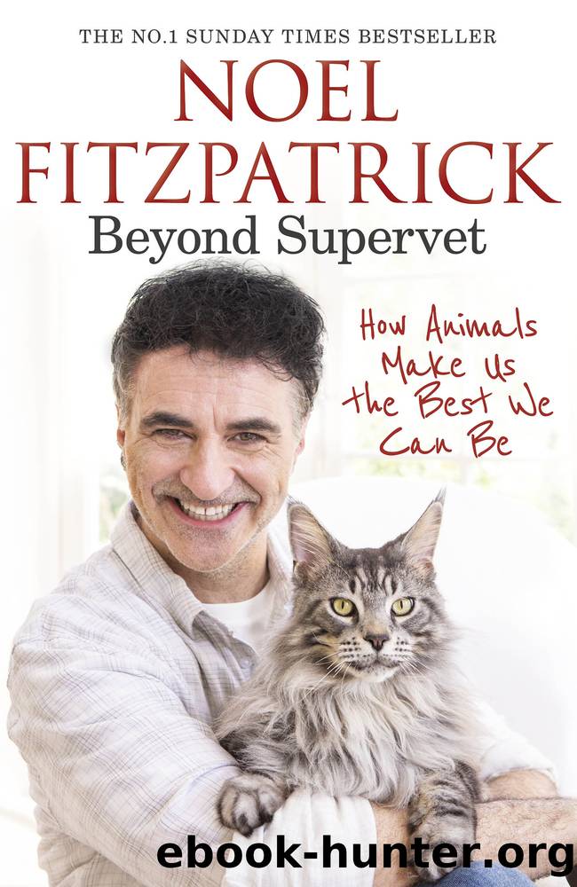 Beyond Supervet: How Animals Make Us The Best We Can Be by Noel Fitzpatrick