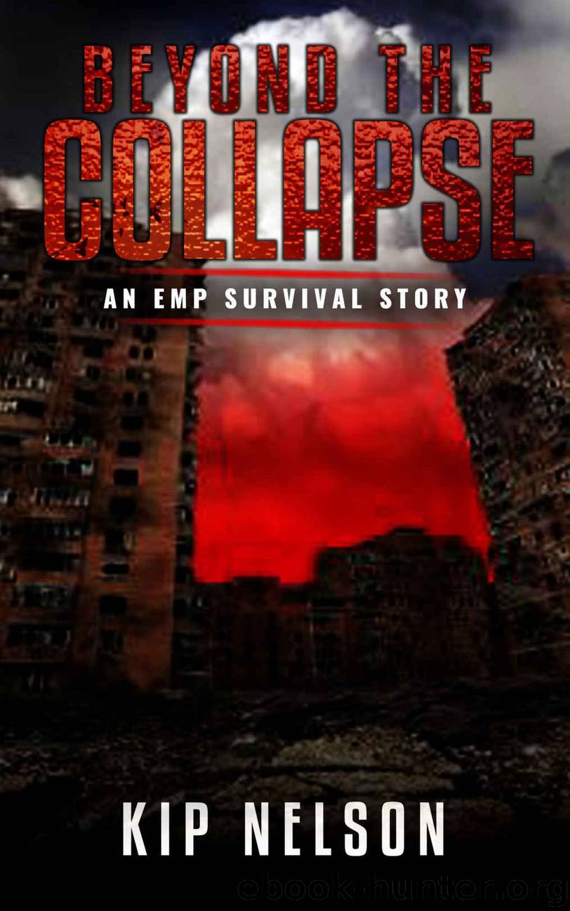 Beyond The Collapse by Kip Nelson