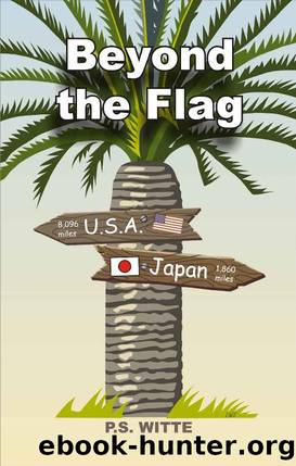 Beyond The Flag by P.S. Witte
