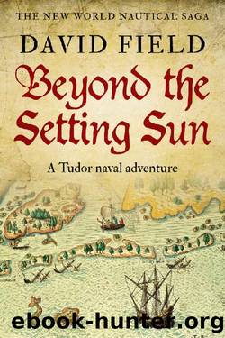 Beyond The Setting Sun: A Tudor naval adventure (The New World Nautical Saga Book 2) by David Field