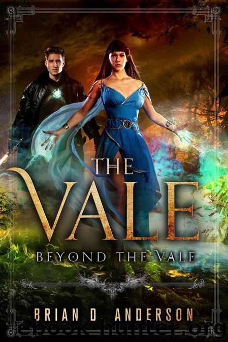 Beyond The Vale by Brian D Anderson
