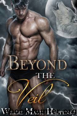 Beyond The Veil: A Paranormal & Magical Romance Boxed Set by Multiple Authors