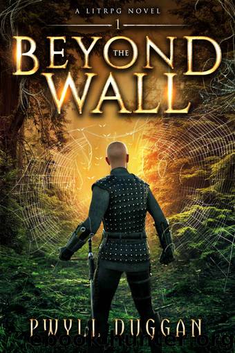 Beyond The Wall by Pwyll Duggan