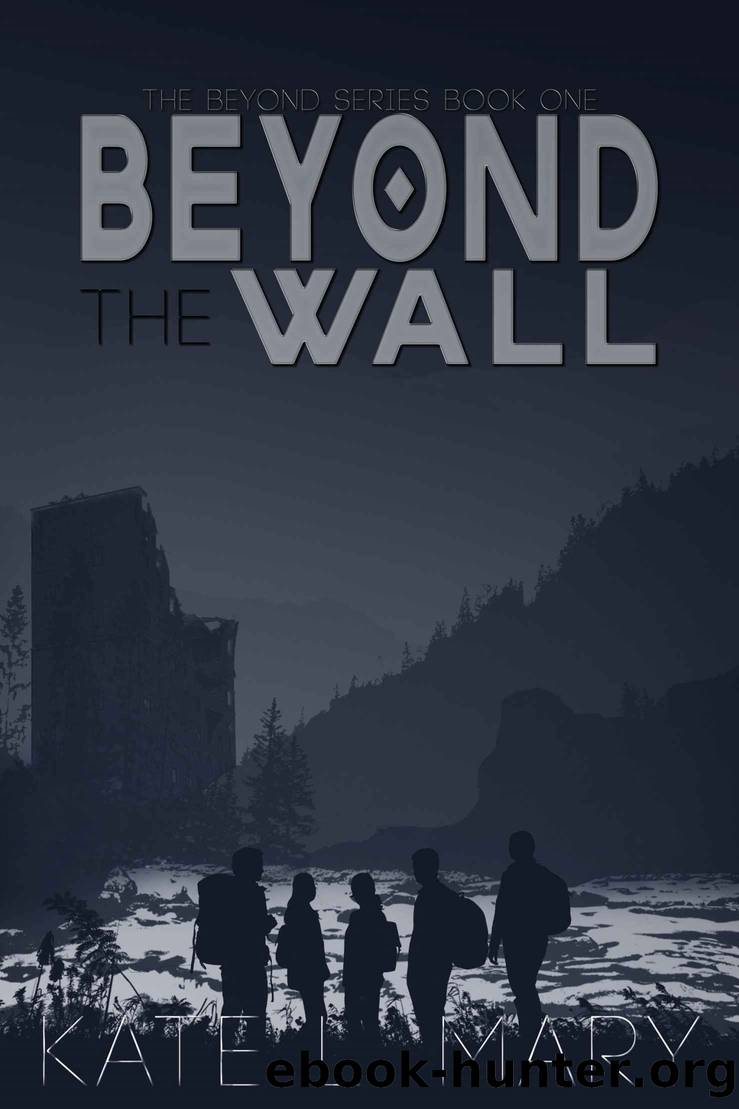 Beyond The Wall: Beyond Series Book One by Mary Kate L