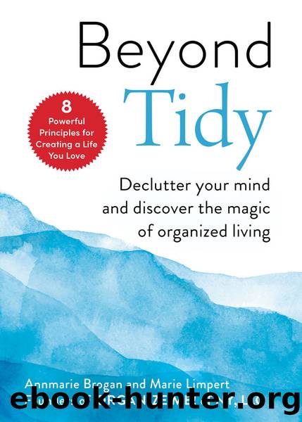 Beyond Tidy by Annmarie Brogan