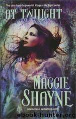 Beyond Twilight by Maggie Shayne