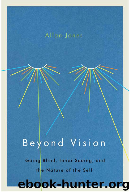 Beyond Vision by Allan Jones