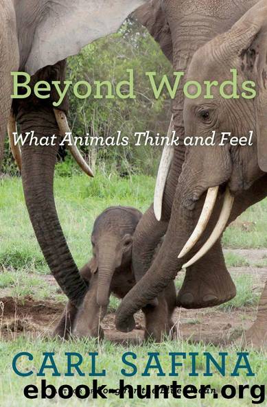 Beyond Words: What Animals Think and Feel by Carl Safina