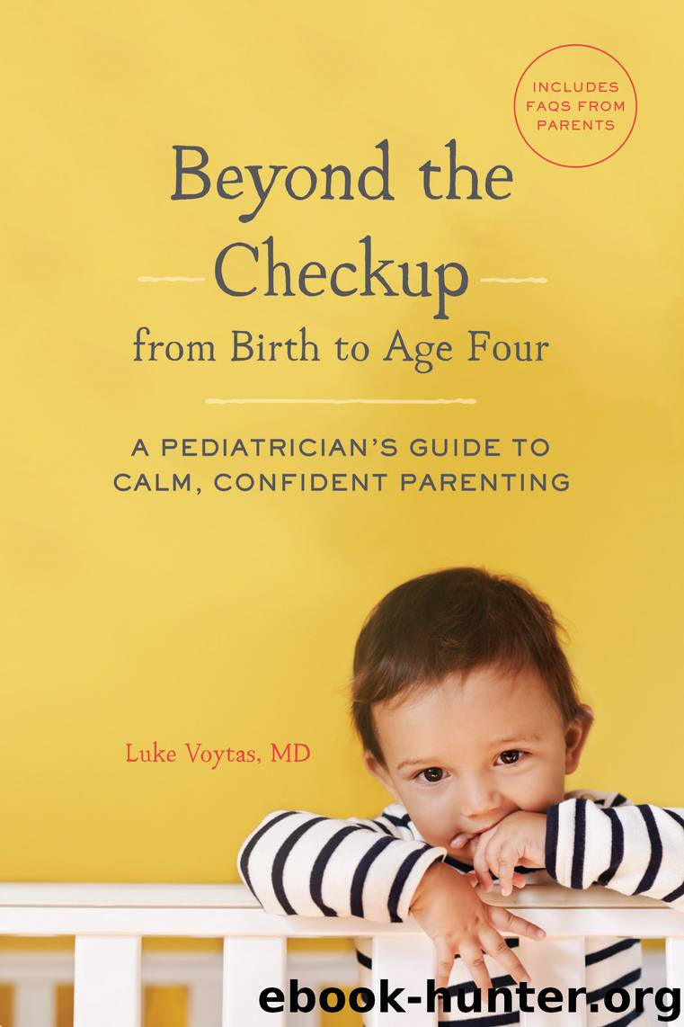 Beyond Your Baby's Checkup by Luke Voytas MD