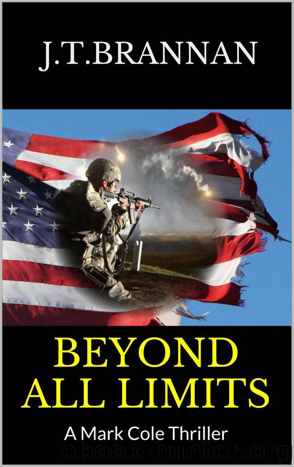 Beyond all Limits by J. T. Brannan