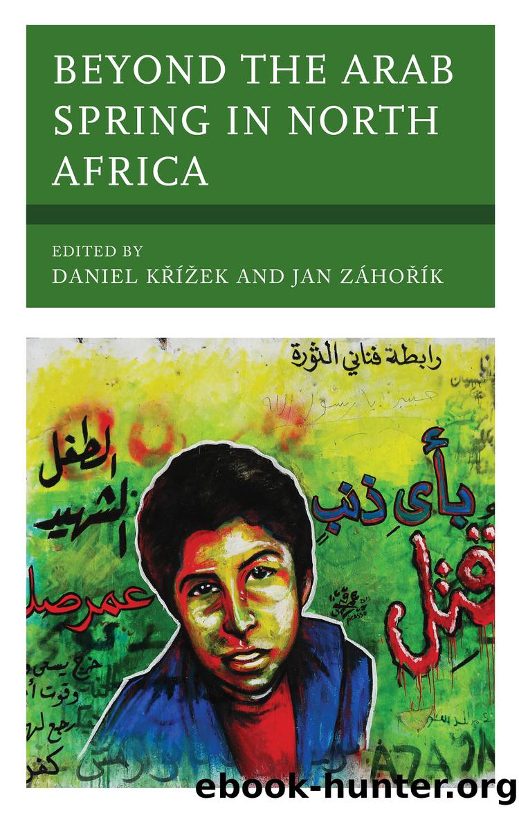 Beyond the Arab Spring in North Africa by unknow