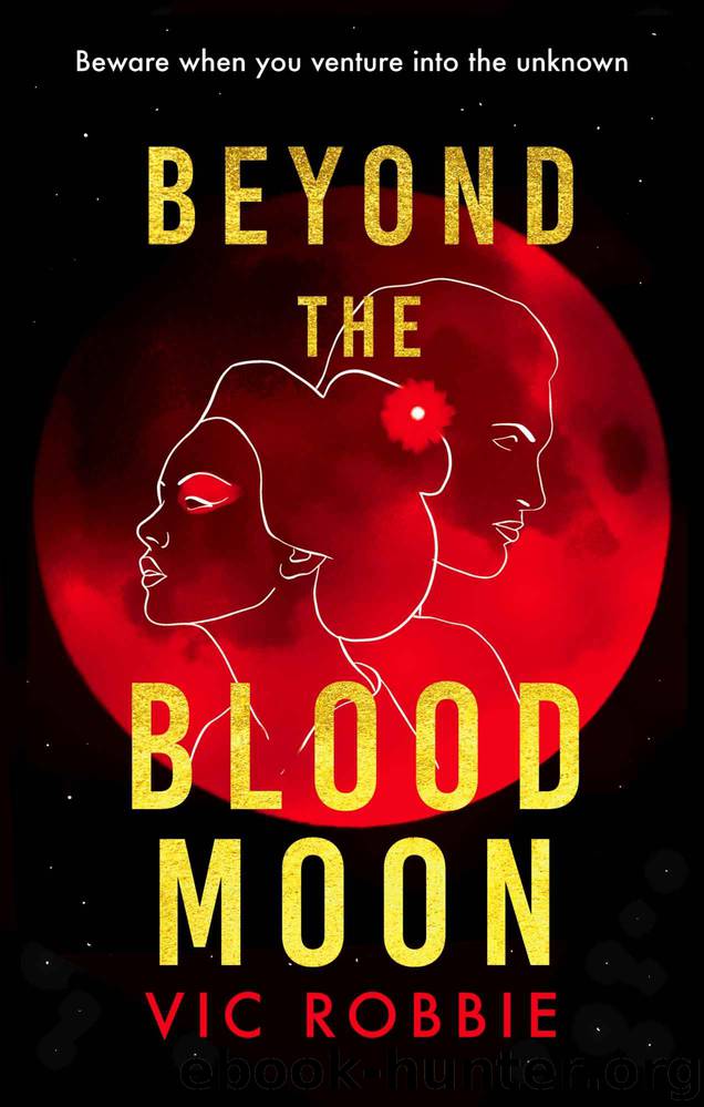 Beyond the Blood Moon by Vic Robbie