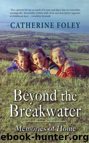 Beyond the Breakwater by Catherine Foley