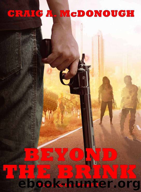 Beyond the Brink: Toward the Brink IV by Craig McDonough