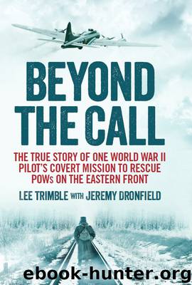 Beyond the Call by Lee Trimble