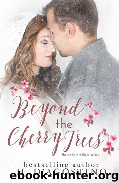 Beyond the Cherry Trees: The Cook Brothers Series by Heather D'Agostino