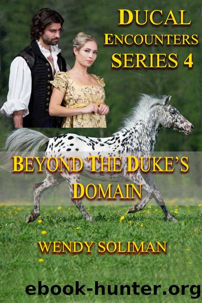 Beyond the Duke's Domain: Ducal Encounters Series 4 Book 4 by Wendy Soliman