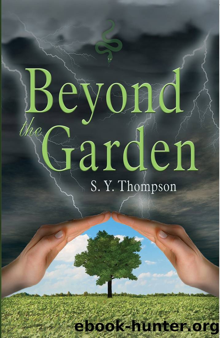 Beyond the Garden by S Y Thompson
