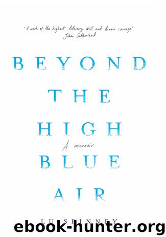 Beyond the High Blue Air by Lu Spinney