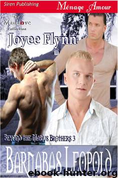 Beyond the Marius Brothers 3: Barnabas Leopold by Joyee Flynn