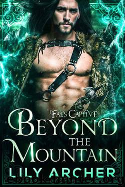 Beyond the Mountain (Fae's Captive Book 4) by Lily Archer