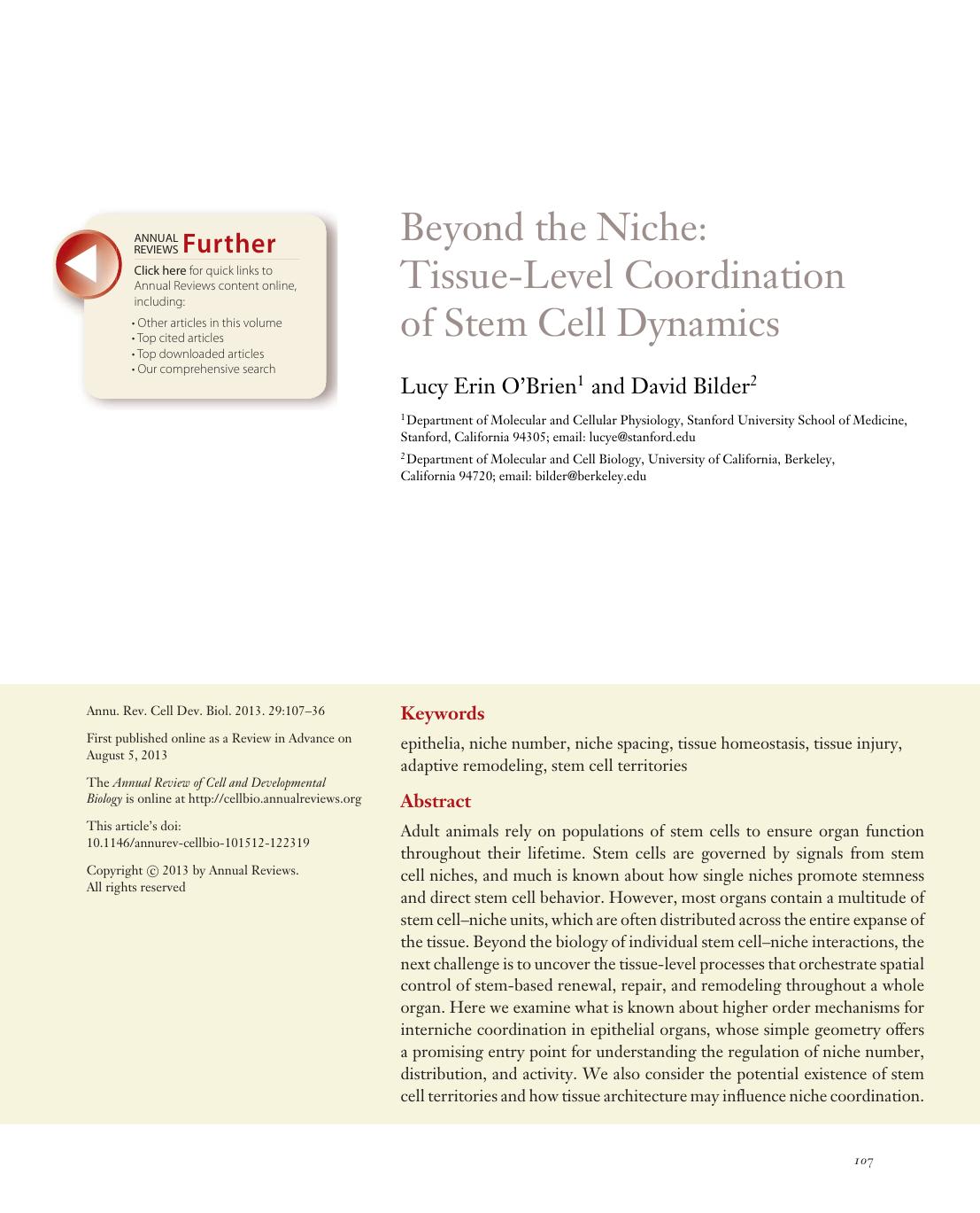 Beyond the Niche: Tissue-Level Coordination of Stem Cell Dynamics by Lucy Erin O'Brien and David Bilder