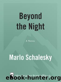 Beyond the Night by Marlo Schalesky