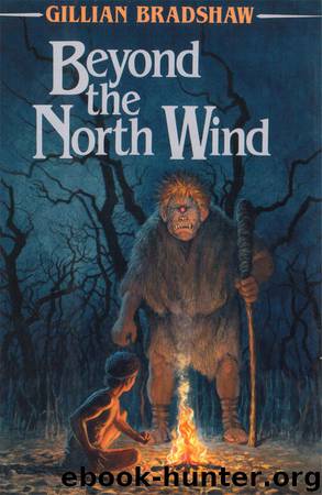 Beyond the North Wind by Gillian Bradshaw